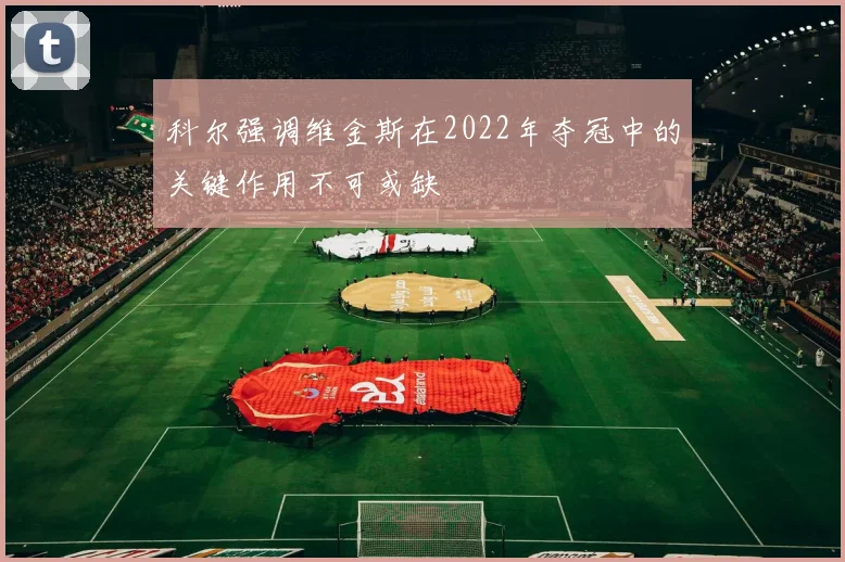 科尔强调维金斯在2022年夺冠中的关键作用不可或缺